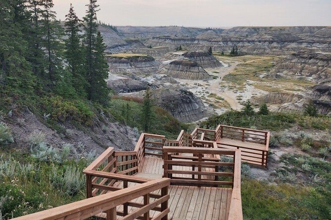 1 Day Drumheller Private Group Custom Tour: Calgary to Badlands - So, should you book this Calgary to Badlands private tour?