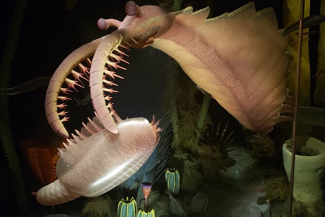 1 Day Guided Drumheller Tour: Calgary to Dinosaur Badlands - Key Things That Make This Drumheller Tour Worth Your Time