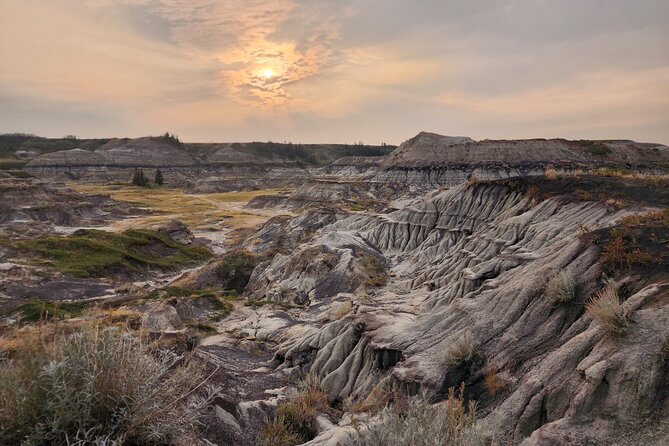 1 Day Guided Drumheller Tour: Calgary to Dinosaur Badlands - Horsethief Canyon (Summer) and the Little Church Photo Break