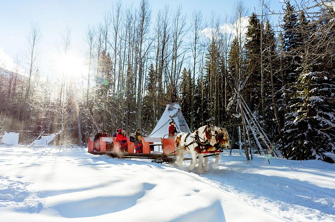1 Hour Shared Winter Sleigh Ride Experience in Kananaskis - Kananaskis Country, Canmore, Calgary: how the route shapes your day