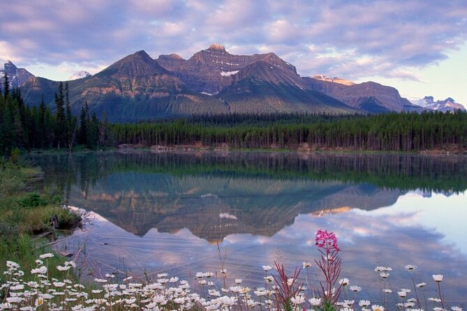 2-3 Days Lake Louise Moraine Gondola Johnston Canyon Icefield - What the guide adds (and why it can change your trip)