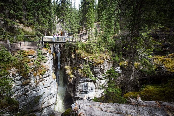 5 Day Canadian Rockies, Banff, Lake Louise, Moraine Lake, Jasper - Pace, Comfort, and What the Best Parts Feel Like in Real Life