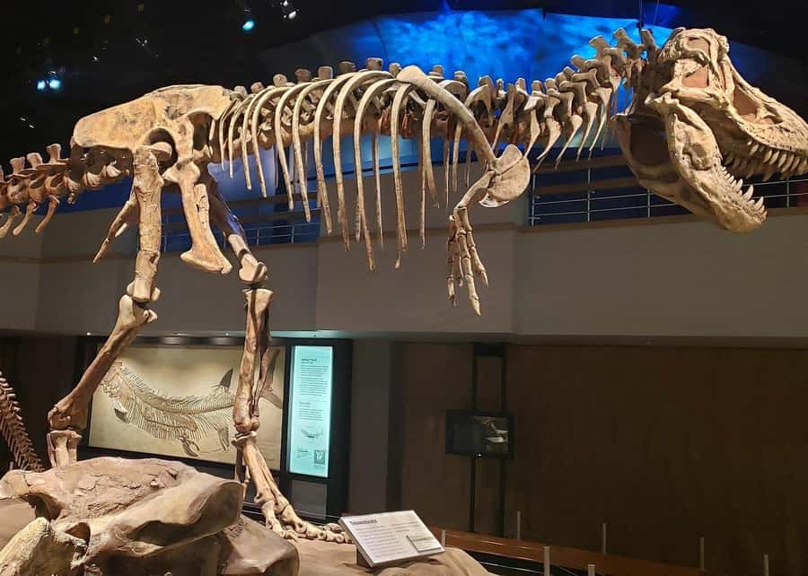 Badlands Tour: Drumheller with Museum, Hoodoos & Coal Mine - Little Church detour and Drumheller’s 26-meter T-Rex