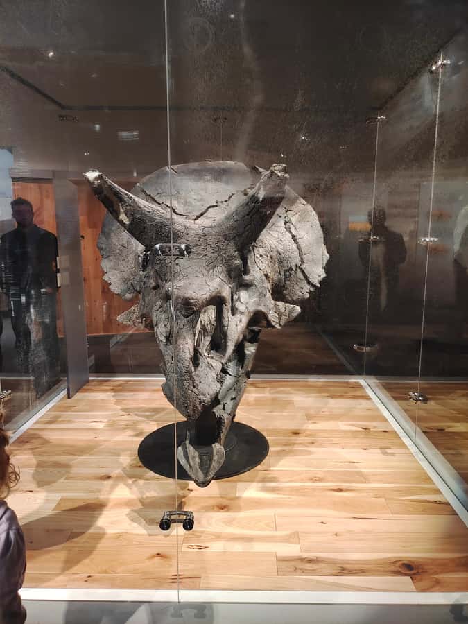 Badlands Tour: Drumheller with Museum, Hoodoos & Coal Mine - Hoodoos Trail: the short hike that makes the Badlands feel strange (in a good way)