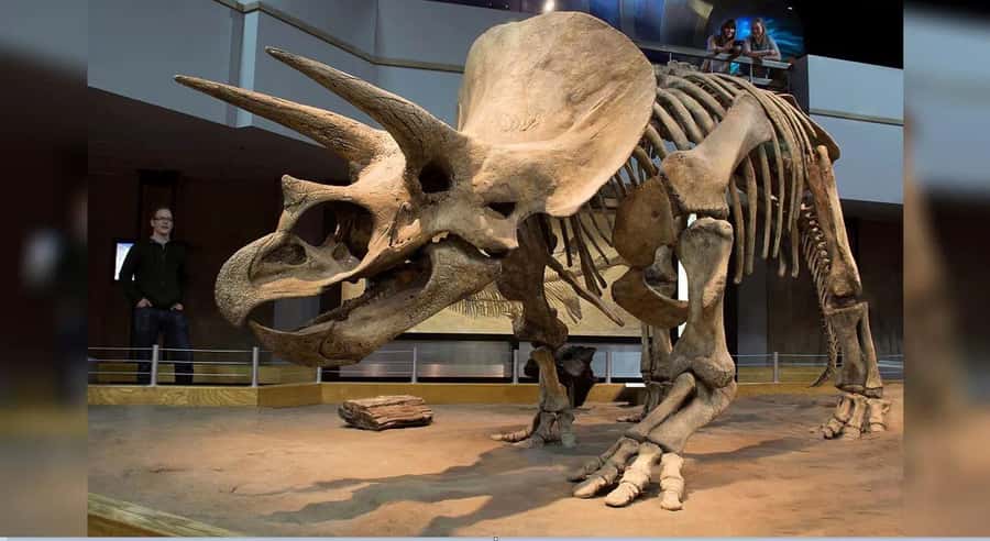 Badlands Tour: Drumheller with Museum, Hoodoos & Coal Mine - Star Mine Suspension Bridge and the coal story you can walk through