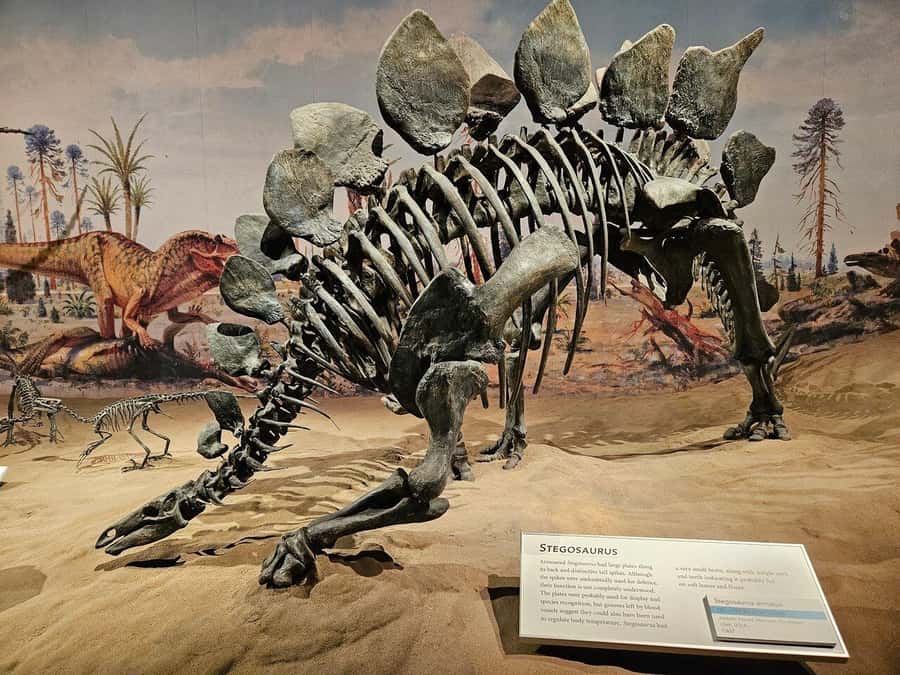 Badlands Tour: Drumheller with Museum, Hoodoos & Coal Mine - Price and value: is $126 for all this a fair deal?