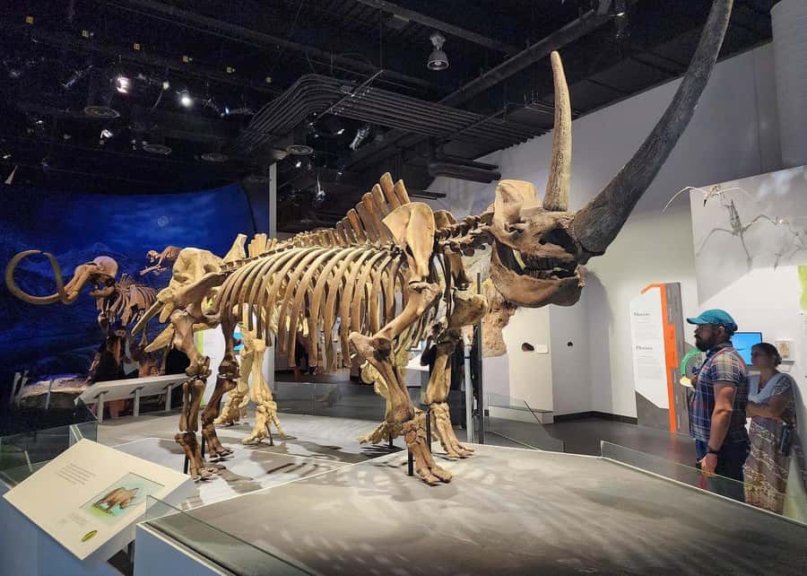 Badlands Tour: Drumheller with Museum, Hoodoos & Coal Mine - What to bring (and what rules to follow)