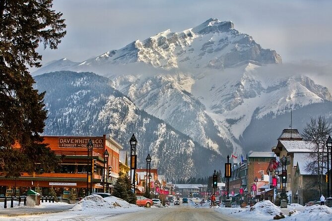 Banff Area & Johnston Canyon 1-Day Tour from Calgary or Banff - Price and Logistics: You’re Paying for Not Driving
