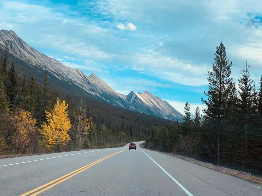 Banff: Columbia Icefield, Skywalk, Parkway, Bow & Peyto Lake - Key things to know before you go
