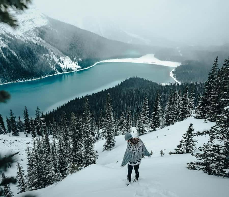 Banff: Columbia Icefield, Skywalk, Parkway, Bow & Peyto Lake - Why the Icefields Parkway feels like a whole attraction by itself