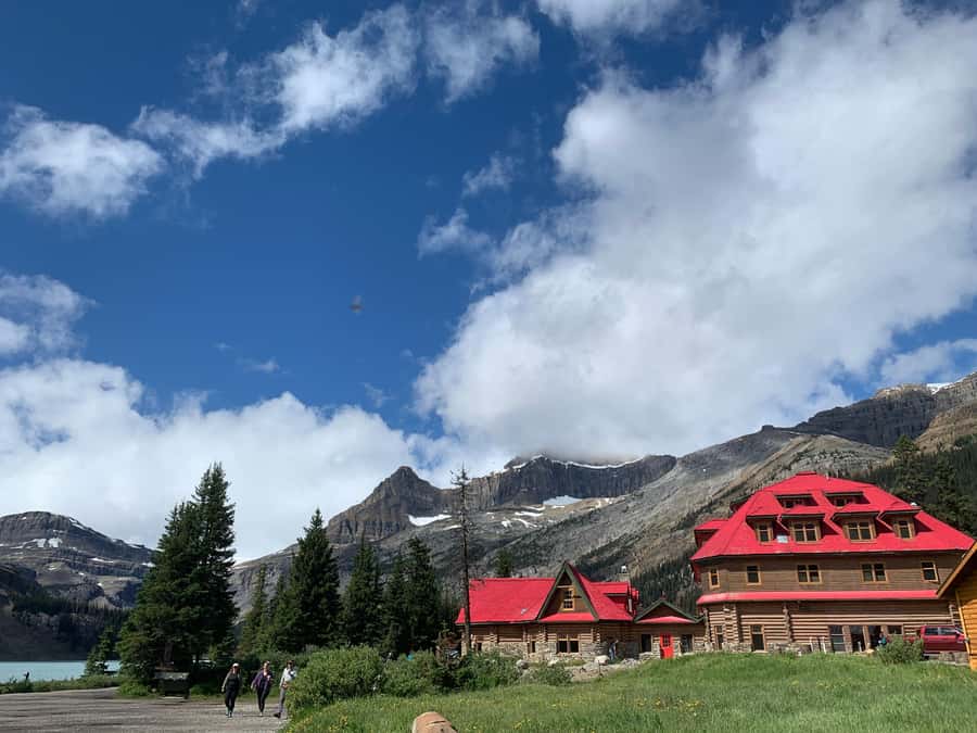 Banff: Columbia Icefield, Skywalk, Parkway, Bow & Peyto Lake - Columbia Icefield: the big stop that turns the day from scenic to memorable