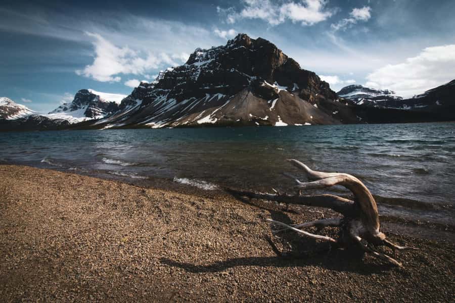 Banff: Columbia Icefield, Skywalk, Parkway, Bow & Peyto Lake - Icefields Parkway pacing: how the day stays fun during long drives