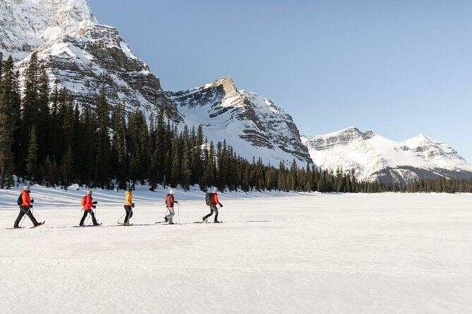 Banff Day Trip: Johnston Canyon, Fairmont Banff Springs, Gondola - Fairmont Banff Springs: Castle-Style Views Plus an Optional Lunch