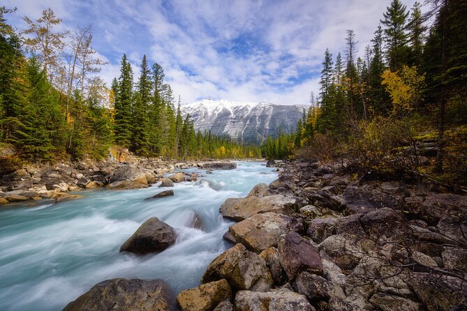 Banff Gondola Lake Minnewanka Johnston canyon and Banff Town - Stop 3: Banff Town Free Time for Souvenirs and Lunch on Your Terms (About 1 Hour)