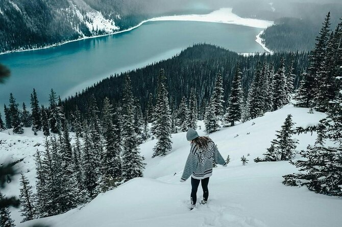Banff: Lake Louise, Marble Canyon, Bow Lake, Peyto Lake Tour - Price and what $63.48 really buys