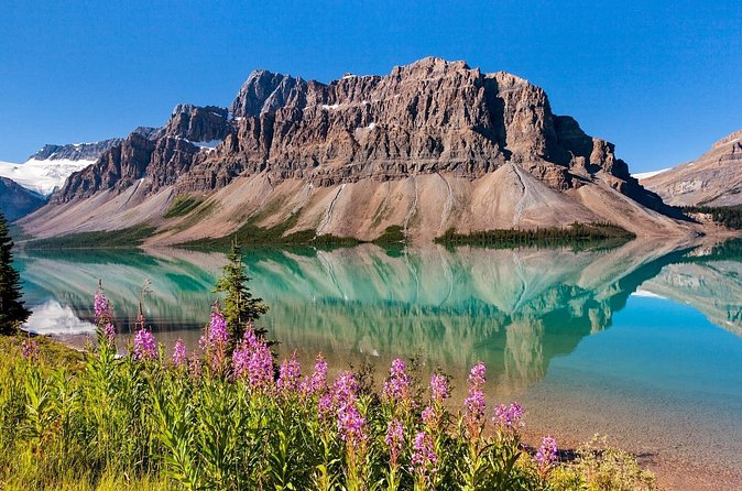Banff National Park Tour with a Small Group - The real magic is the on-board guide talk (not just scenery)