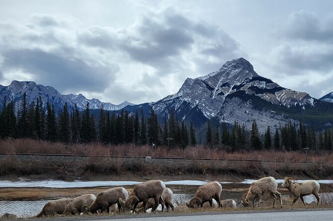 Banff Private Tour - Beyond the basics - Banff Avenue: town time between the big nature hits