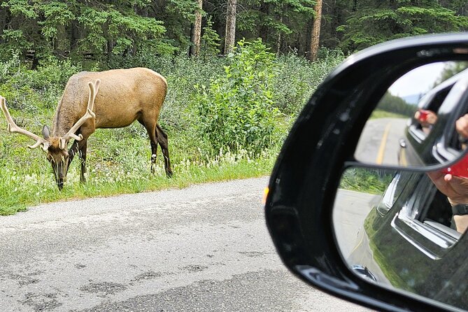 Banff Private Tour - Beyond the basics - Return to Calgary: the calm landing after peak scenery