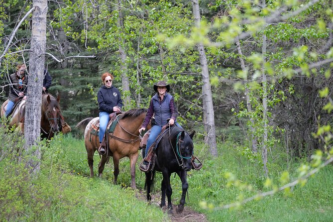 Buffalo Loop 1-Hour Horseback Trail Ride in Kananaskis - Key highlights to know before you go