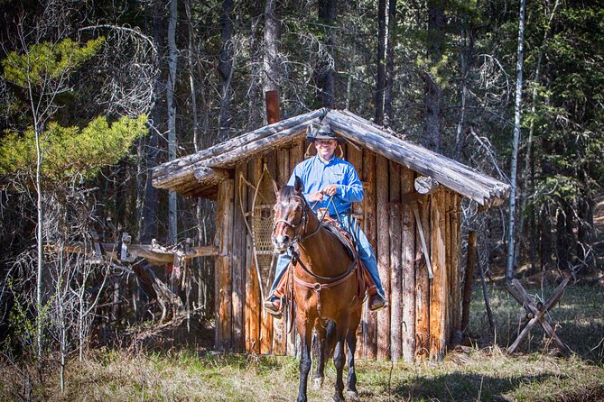 Buffalo Loop 1-Hour Horseback Trail Ride in Kananaskis - Boundary Ranch Buffalo Loop: what an hour on horseback is like