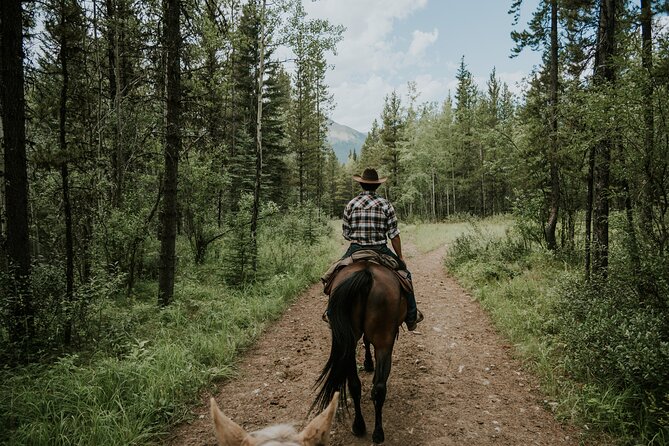 Buffalo Loop 1-Hour Horseback Trail Ride in Kananaskis - Itinerary at a glance: what happens before and during the loop