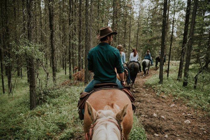 Buffalo Loop 1-Hour Horseback Trail Ride in Kananaskis - Price and value: is $77.91 worth it?