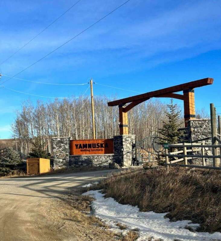 Calgary City Tour & Yamnuska Wolfdog Sanctuary Private Tour - Stephen Avenue: where the day turns from sightseeing to living