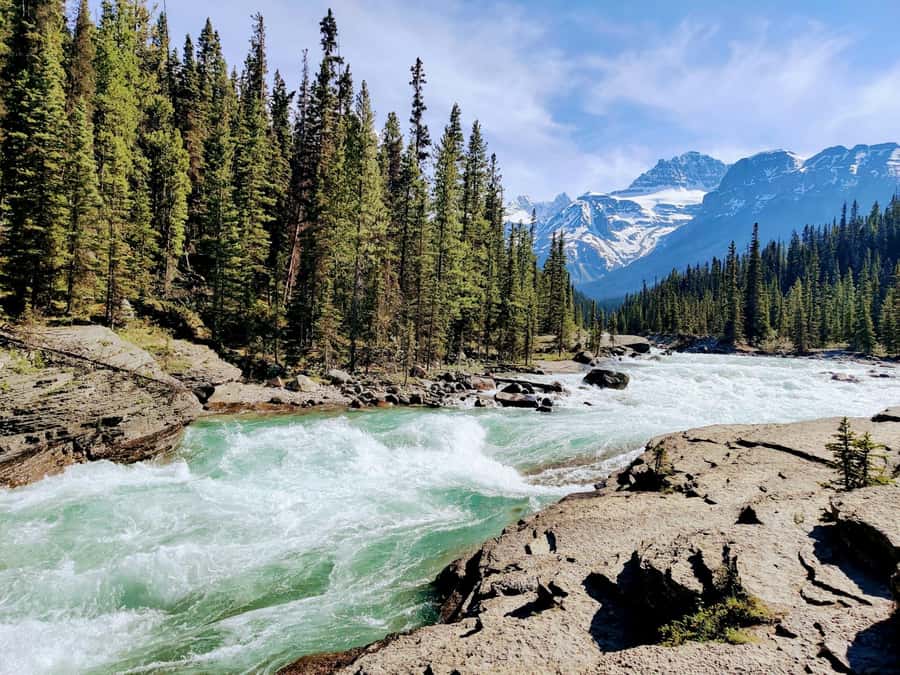 Calgary: Lake Louise, Moraine Lake, & Emerald Lake Tour - Key things I’d watch for on this tour