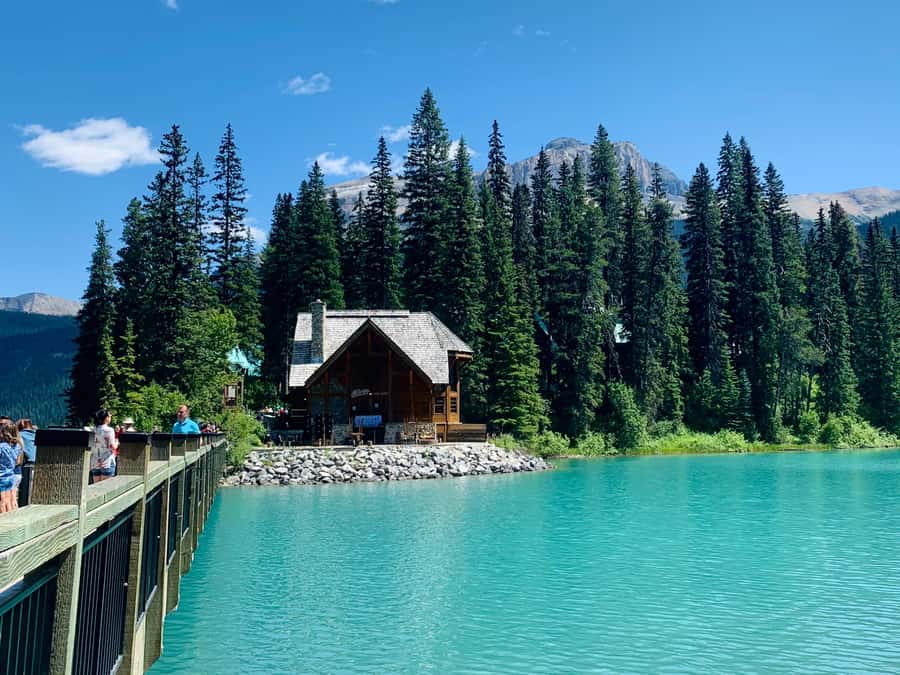 Calgary: Lake Louise, Moraine Lake, & Emerald Lake Tour - Natural Bridge: the Kicking Horse River viewpoint that feels engineered by nature