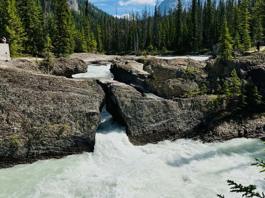 Calgary: Lake Louise, Moraine Lake, & Emerald Lake Tour - The guide and driver make or break the vibe