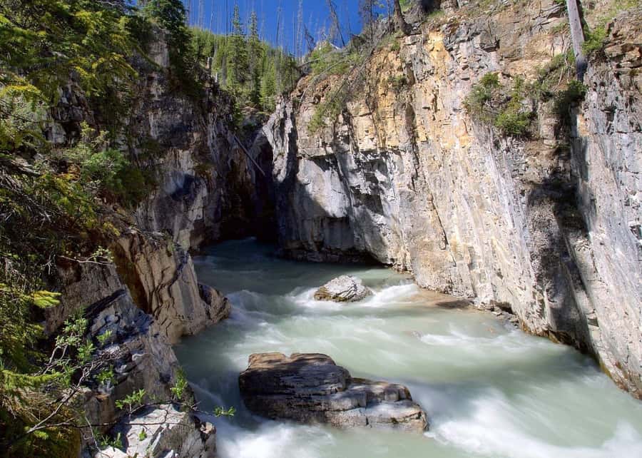 Calgary: Radium Hot Springs & Marble Canyon Day Trip - Calgary Pickup to Canyon Trailhead: How the Day Moves