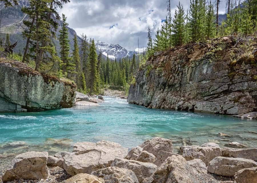 Calgary: Radium Hot Springs & Marble Canyon Day Trip - Radium Hot Springs: Odorless Mineral Water Under Sinclair Canyon