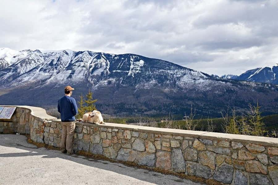 Calgary: Radium Hot Springs & Marble Canyon Day Trip - Kootenay Valley Viewpoint: Coffee and a Slow Pause