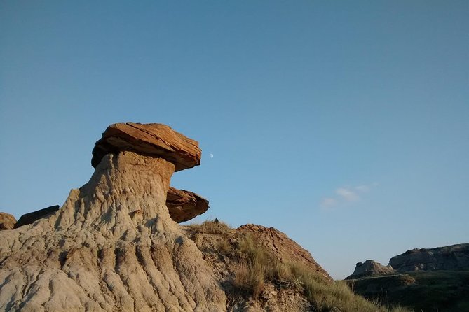 Calgary to Royal Museum | Drumheller – PRIVATE TOUR - Key highlights to know before you book
