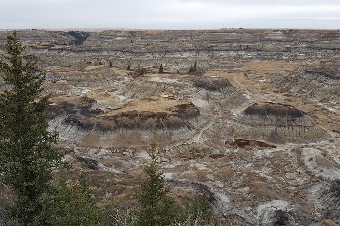 Calgary to Royal Museum | Drumheller – PRIVATE TOUR - Stop 4: Atlas Coal Mine National Historic Site (and a ticket reality check)