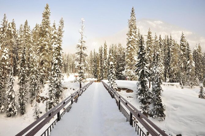 Canadian Rockies Golden Hour Tour | Lunch Included - Key highlights you’ll feel immediately