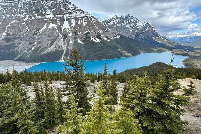Columbia Icefield, Crowfoot Glacier and Bow ,Peyto Lake Tour - Pickup times: when your Rockies start early