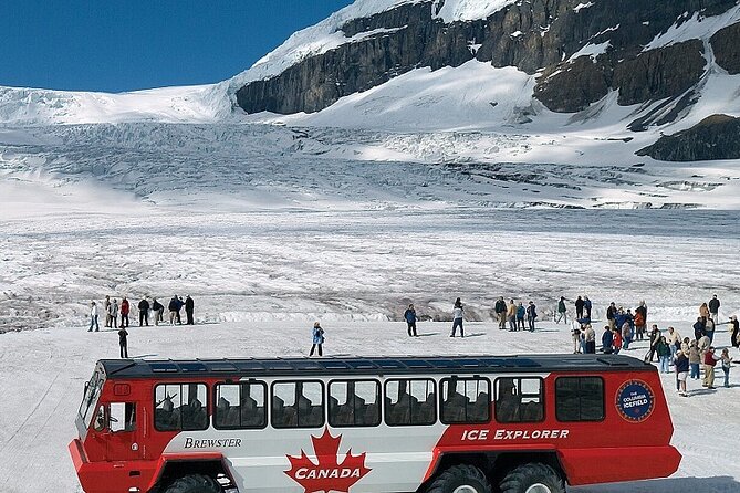 Columbia Icefield,Peyto Lake,Bow Lake Day Trip from Banff/Calgary - Why This Icefields Parkway Day Trip Works for First-Timers