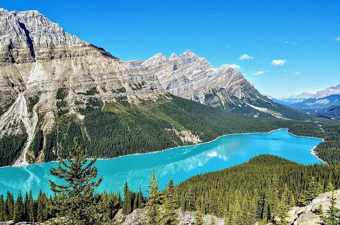 Columbia Icefield,Peyto Lake,Bow Lake Day Trip from Banff/Calgary - Price and Logistics: What Your $66.80 Really Buys