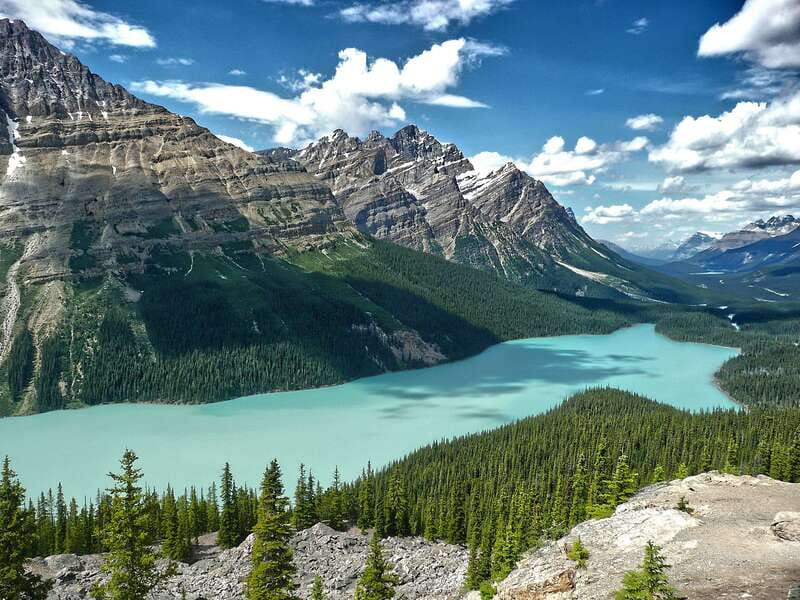 Columbia Icefield, Peyto Lake, Bow Lake Discovery Tour - Columbia Icefield and the Icefields Parkway: why this day feels special