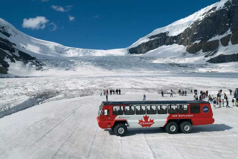 Columbia Icefield, Peyto Lake, Bow Lake Discovery Tour - Should you book the Columbia Icefield, Peyto Lake, Bow Lake Discovery Tour?