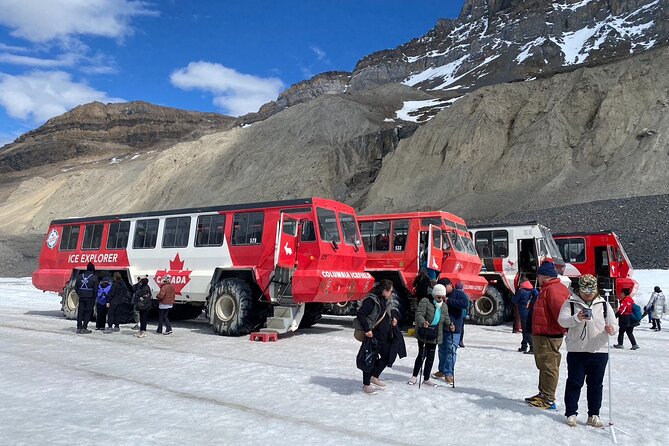 Columbia Icefield Peyto Lake Bow Lake from Calgary Canmore Banff - Key Highlights I’d Put at the Top