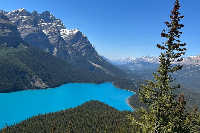 Columbia Icefield Peyto Lake Bow Lake from Calgary Canmore Banff - Columbia Icefield Discovery Centre: The Hands-On Part (And the Real Reason to Book)