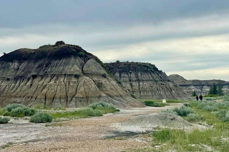 Day of Dinosaurs and Hoodoos From Calgary to the Badlands - Should you book the Day of Dinosaurs and Hoodoos?