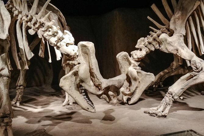 Dinosaurs, Canyons & Ghost Towns: Ultimate Drumheller Day Tour - Horseshoe Canyon loop: a moderate 3.9 km break from the bus