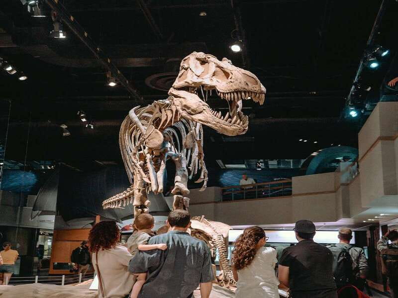 Drumheller: Bad Land & Dinosaur Museum Tour from Calgary - What the Schedule Teaches You (Even If You Don’t Know It Yet)