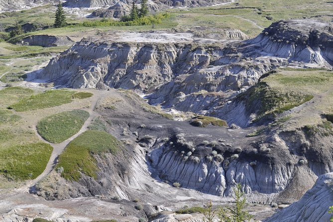 Drumheller Dinosaur Valley & Horseshoe Canyon Adventure Day Tour - A Full-Day Dinosaur Quest From Calgary