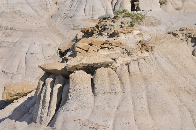 Drumheller Dinosaur Valley & Horseshoe Canyon Adventure Day Tour - Royal Tyrrell Museum: Where the Fossils Take Over