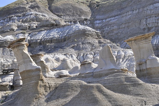 Drumheller Dinosaur Valley & Horseshoe Canyon Adventure Day Tour - Getting Around: Timing, Comfort, and the Reality of a Long Group Day