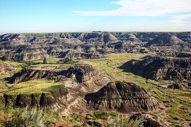 Drumheller Dinosaur Valley & Horseshoe Canyon Adventure Day Tour - Should You Book This Drumheller and Horseshoe Canyon Day Tour?
